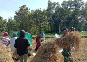 IMG-20260330-WA0004(1)