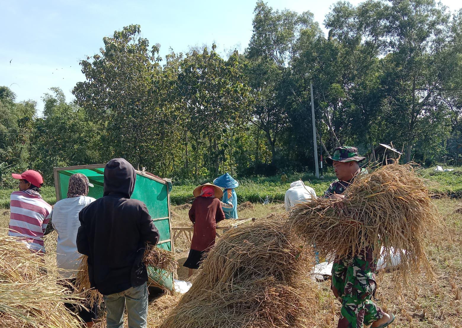 IMG-20260330-WA0004(1)