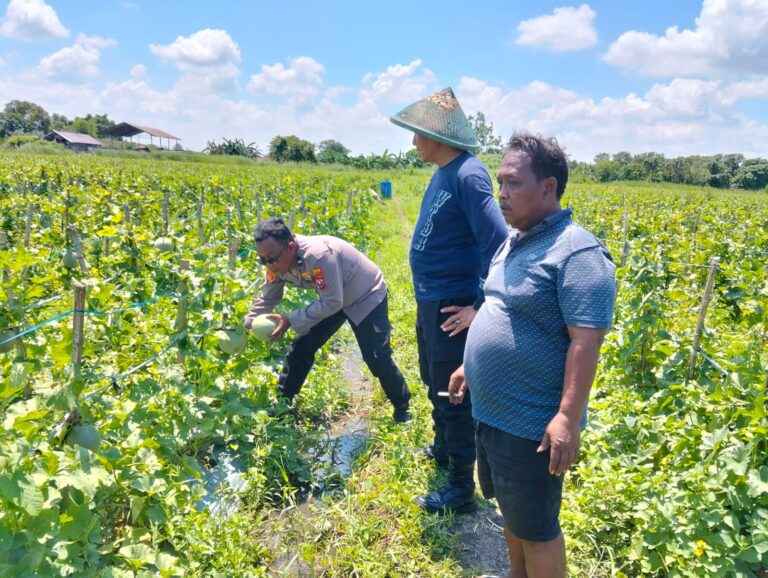 IMG-20260414-WA0032(1)